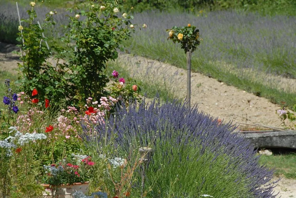 Bed and Breakfast Le Parfum Bleu Chantemerle-lès-Grignan 0*,